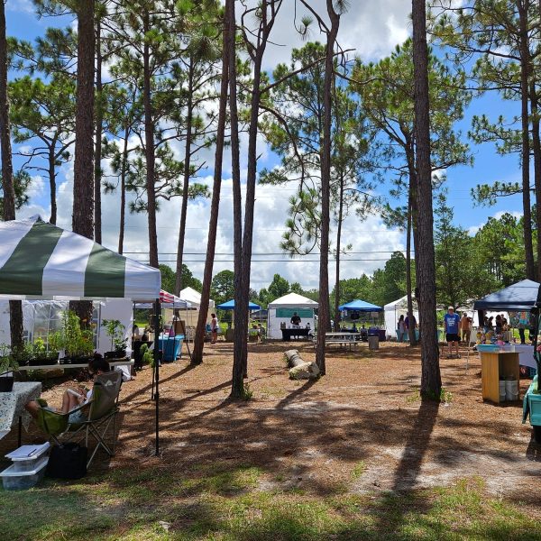wren haven saturday market sq wren haven saturday market sq